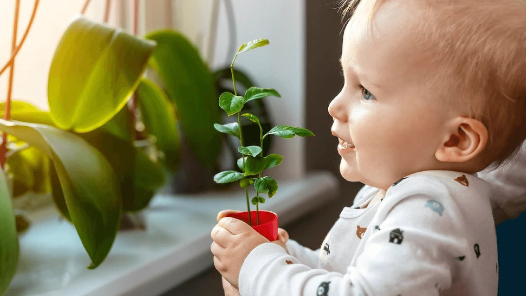 Sustainable Baby Fashion
