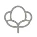 Organic Pima Cotton Icon