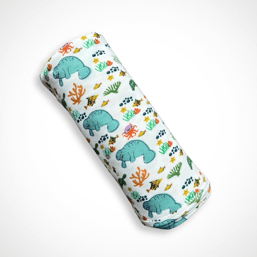 Gender-Neutral Swaddle Newborn Gift